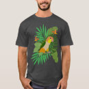 Zoek naar caique Parrot