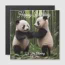 Zoek naar panda verjaardagskaarten Bamboe