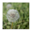 Zoek naar flora tegels Natuur