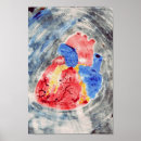 Zoek naar hart anatomie posters Afdrukken