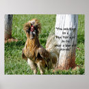Zoek naar kip humor posters Rooster