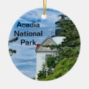 Zoek naar main tree Nationaal park acadia