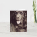 Zoek naar chocolade labrador retriever kaarten Hond
