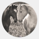 Zoek naar zwart witte fotografie stickers Romantisch