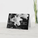 Zoek naar pascua kaarten Spaans