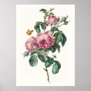 Zoek naar botanisch kunst Vlinder