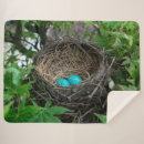 Zoek naar nest dekens Blauw