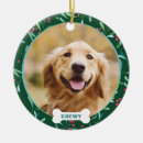 Zoek naar huisdier ornamenten Kerstmis