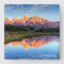 Zoek naar schoonheid natuur klokken Geen mensen