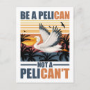Zoek naar pelikaan briefkaarten Vogels