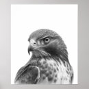 Zoek naar witte vogel posters Druk