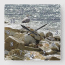 Zoek naar zeemeeuw klokken Water