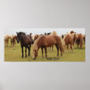 Zoek naar mooi paard kunst Pony
