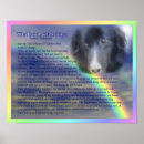 Zoek naar huisdieren gedichten posters Voor haar