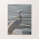 Zoek naar reiger fotografie Water