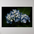 Zoek naar brandkranen posters Zomer