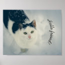 Zoek naar zwart witte katten kunst Huisdier