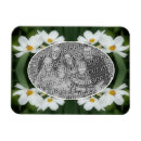 Zoek naar cosmos magneten Bloem