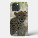 Zoek naar wilde katten iphone hoesjes Voor hem
