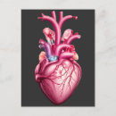 Zoek naar anatomische anatomie briefkaarten Hart