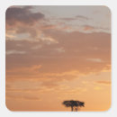 Zoek naar boom silhouet stickers Buiten