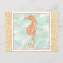 Zoek naar seahorse briefkaarten Zee leven