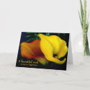 Zoek naar calla lily kaarten Condoleances