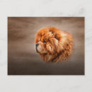 Zoek naar clipart briefkaarten Schattig