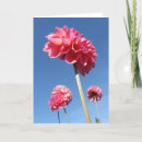 Zoek naar gele achtergrond kaarten Roze