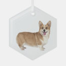 Zoek naar welsh corgi ornamenten Welig