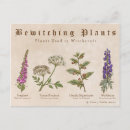 Zoek naar digitalis briefkaarten Purpurea