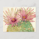 Zoek naar cactus briefkaarten Groen