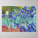 Zoek naar iris bloem posters Irissen