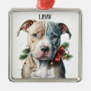 Zoek naar bull terrier ornamenten Kerstmis