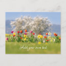 Zoek naar tulp briefkaarten Moeder