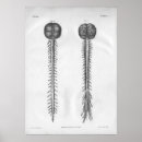 Zoek naar analoog posters Zwart wit
