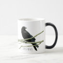 Zoek naar kraai drinkwaren Corvid