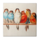 Zoek naar duiven tegels Dieren