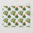 Zoek naar cactus briefkaarten Mexico