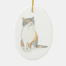 Zoek naar grumpy ornamenten Kerstboomversiering