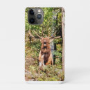 Zoek naar rocky mountain iphone hoesjes Rotsachtig