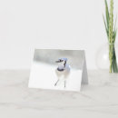 Zoek naar blauwe vlaamse gaaien kaarten De winter