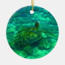 Zoek naar hawaiian ornamenten Groen