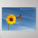 Zoek naar zonnebloem vlinder kunst Wilde dieren
