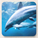 Zoek naar dolfijnen onderzetters Zee