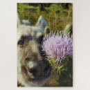 Zoek naar herders hond puzzels Gsd