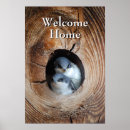 Zoek naar babydieren posters Usa