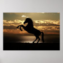 Zoek naar paard silhouet posters Elk persoon