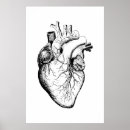 Zoek naar anatomie hart posters Mens