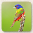 Zoek naar mannetje onderzetters Vogel
